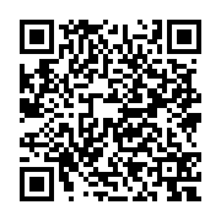 QR code for CI95369