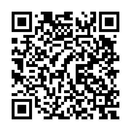 QR code for CII413