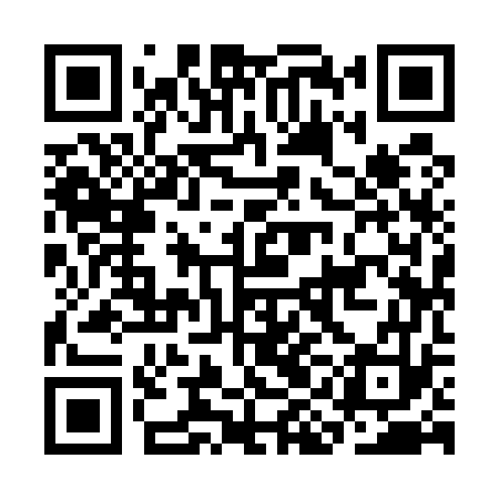 QR code for CII573