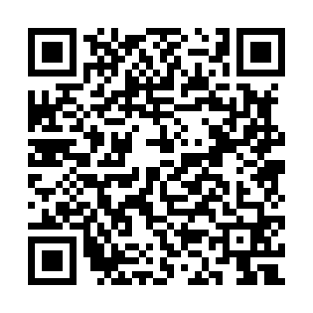 QR code for CK08607