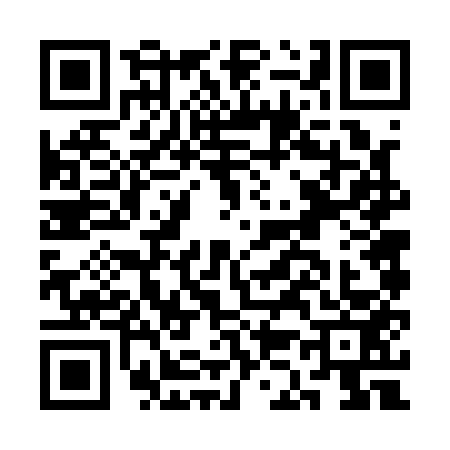 QR code for CK61533