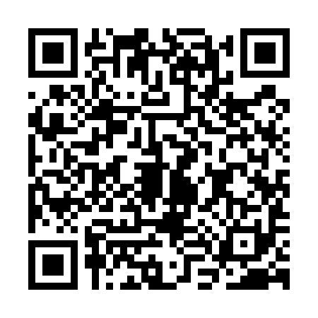 QR code for CL95911
