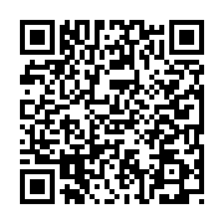 QR code for CN95828