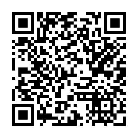 QR code for CPI387