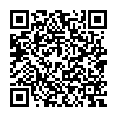 QR code for CQ87565