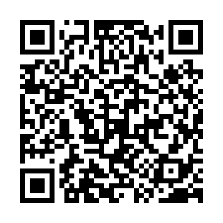 QR code for CQ9238