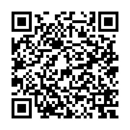 QR code for CS15291