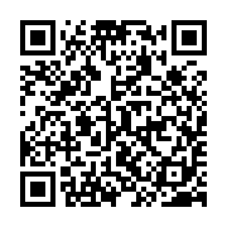 QR code for CSS991