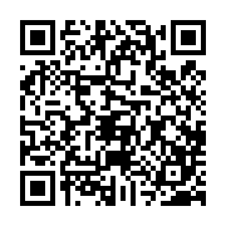 QR code for CT04868