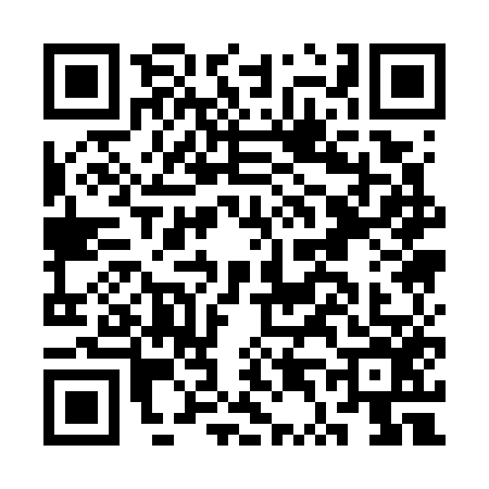 QR code for CT17563