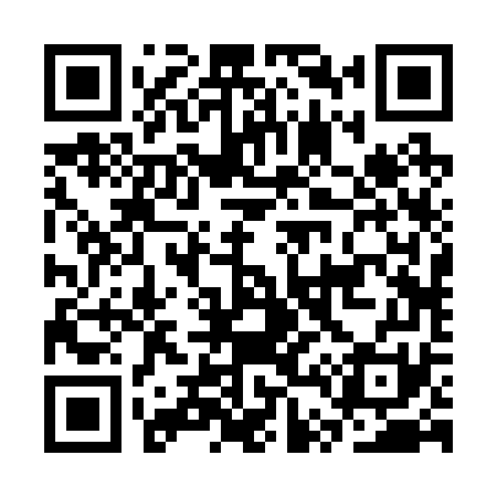 QR code for CT2271