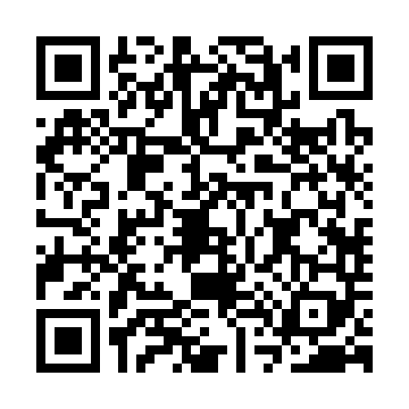 QR code for CT23499