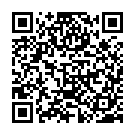 QR code for CT6960