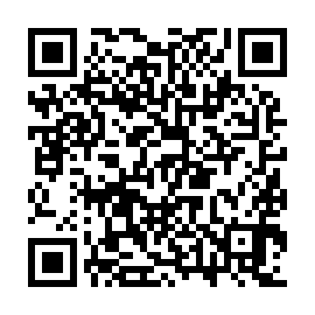 QR code for CT6990