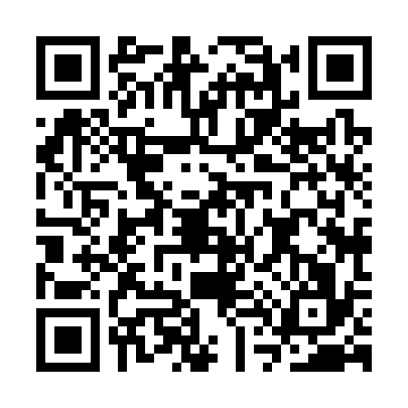 QR code for CT83369