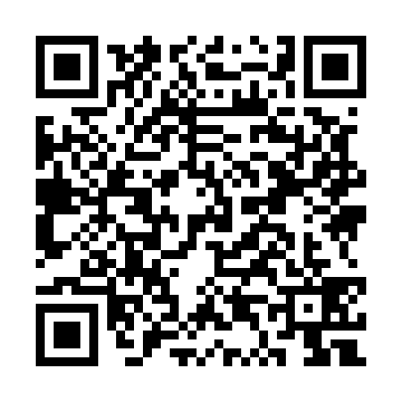 QR code for CT95396