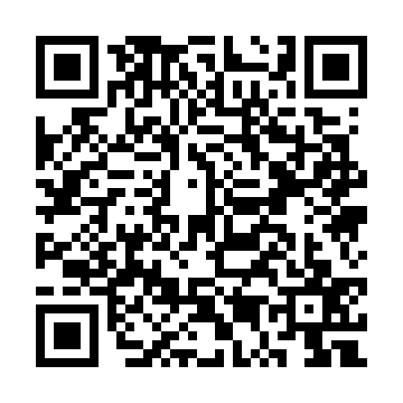 QR code for CU17379