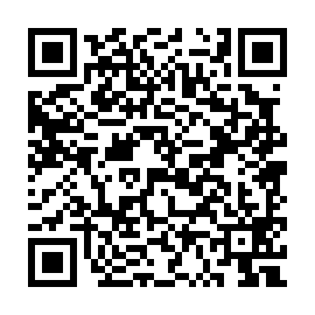 QR code for CV00993