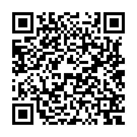 QR code for CV28225