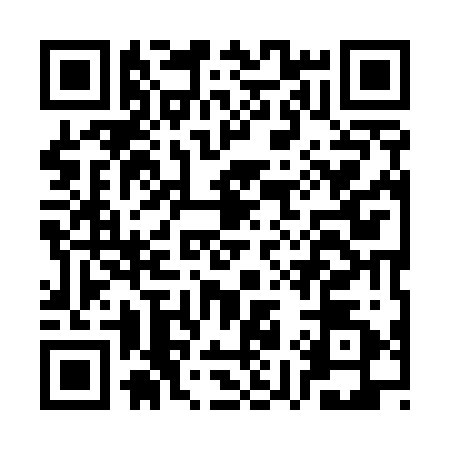 QR code for CY95228