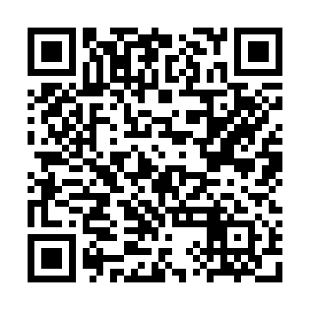 QR code for CYK311