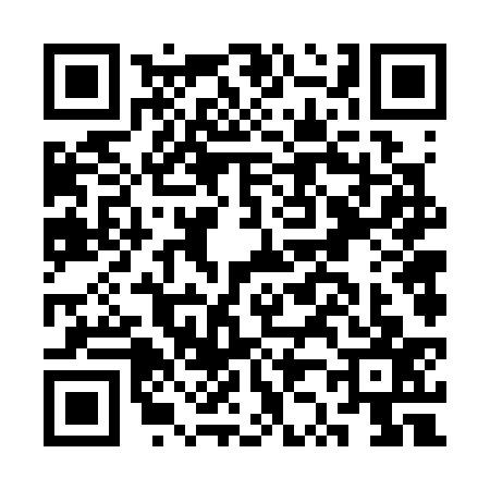 QR code for CZ63379