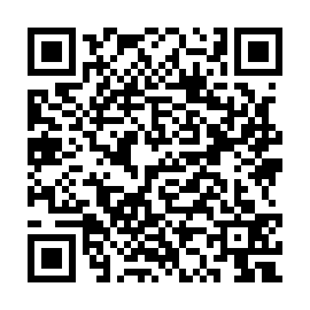 QR code for CZ91336