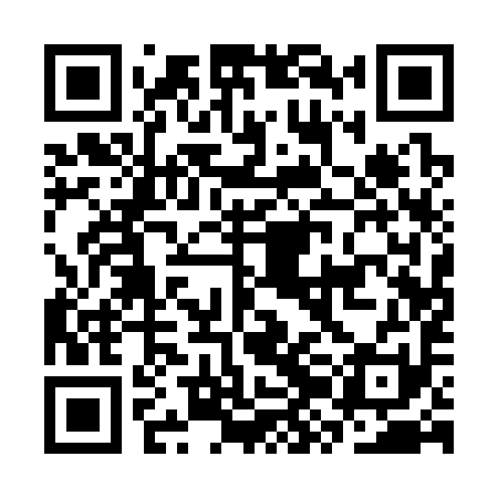 QR code for CZA391