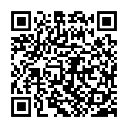 QR code for CZJ369