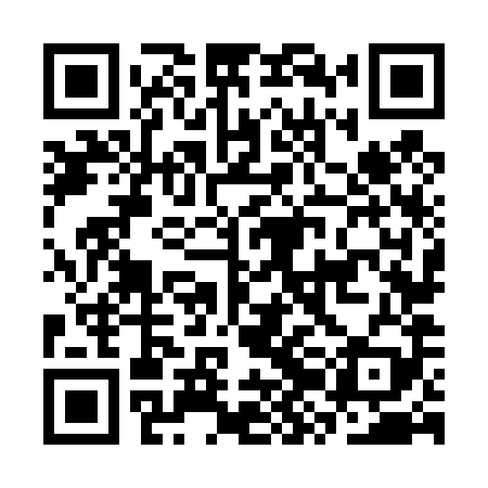 QR code for CZN489