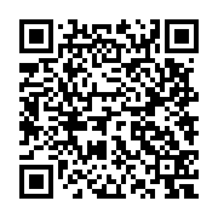 QR code for CZN533