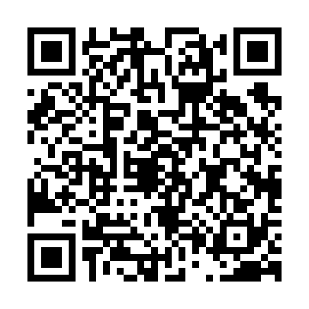 QR code for D006306