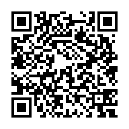 QR code for D006387