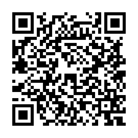 QR code for D038658
