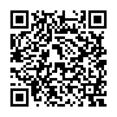 QR code for D038803