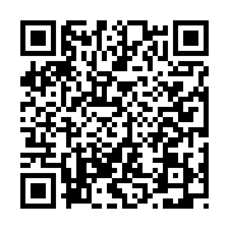 QR code for D046290