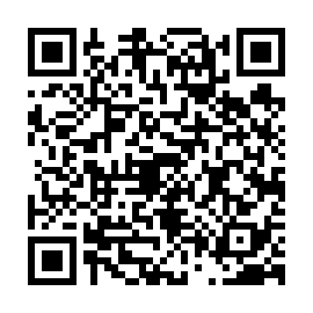 QR code for D046384
