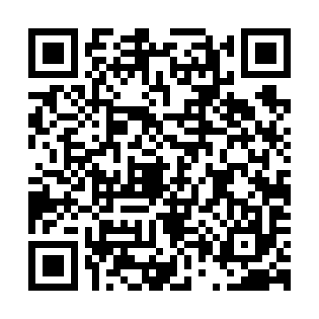 QR code for D046976