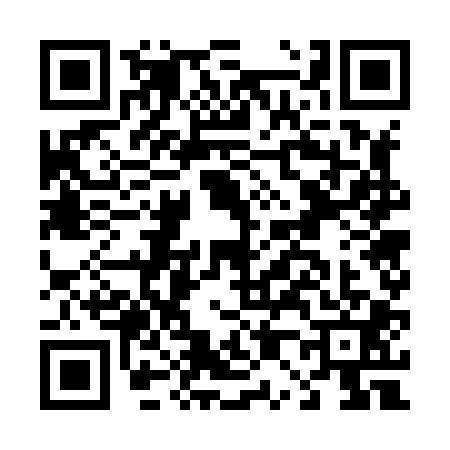 QR code for D078011