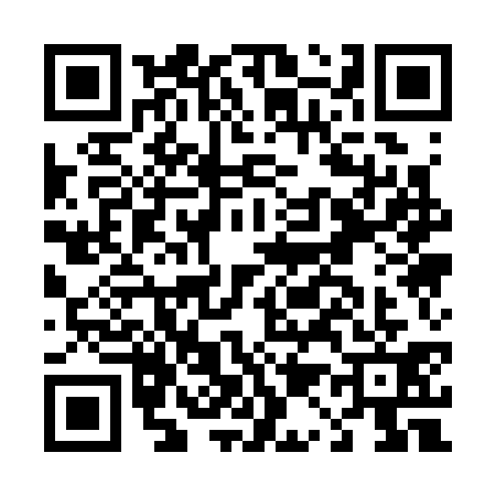 QR code for D113314