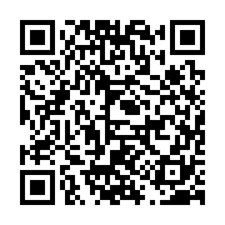 QR code for D11370