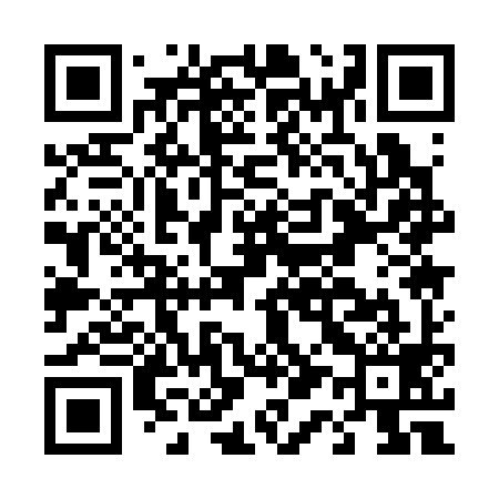 QR code for D11399