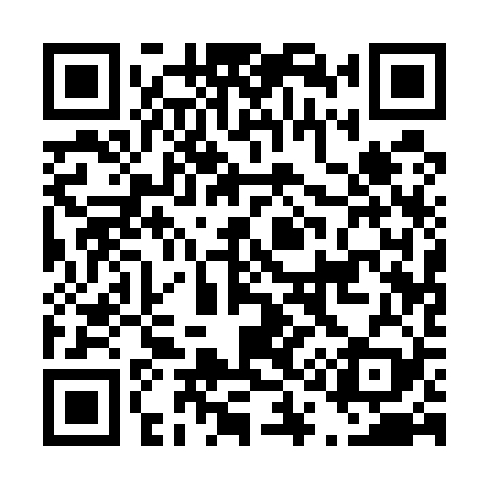 QR code for D11529