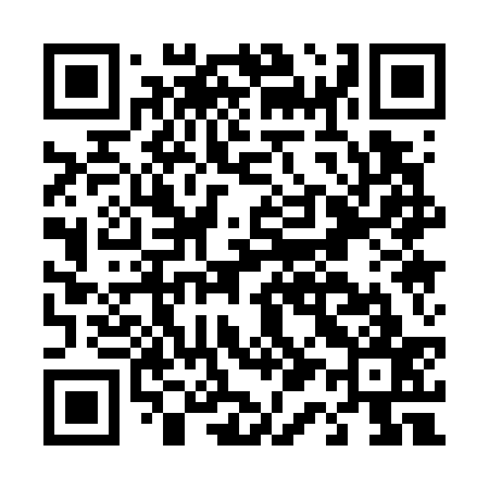 QR code for D11737