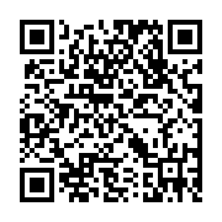 QR code for D12517