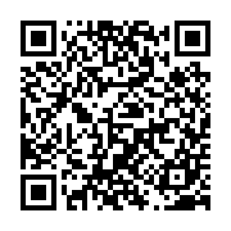 QR code for D13207