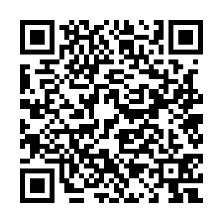 QR code for D171311