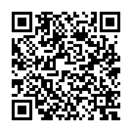 QR code for D213295