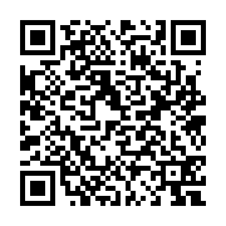 QR code for D233325