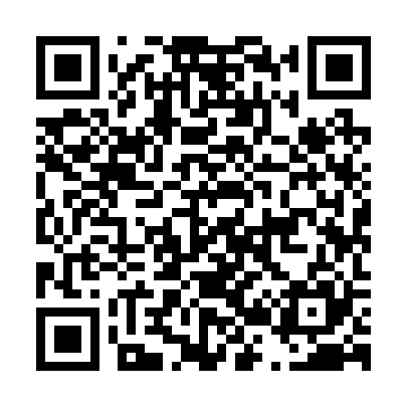 QR code for D29225
